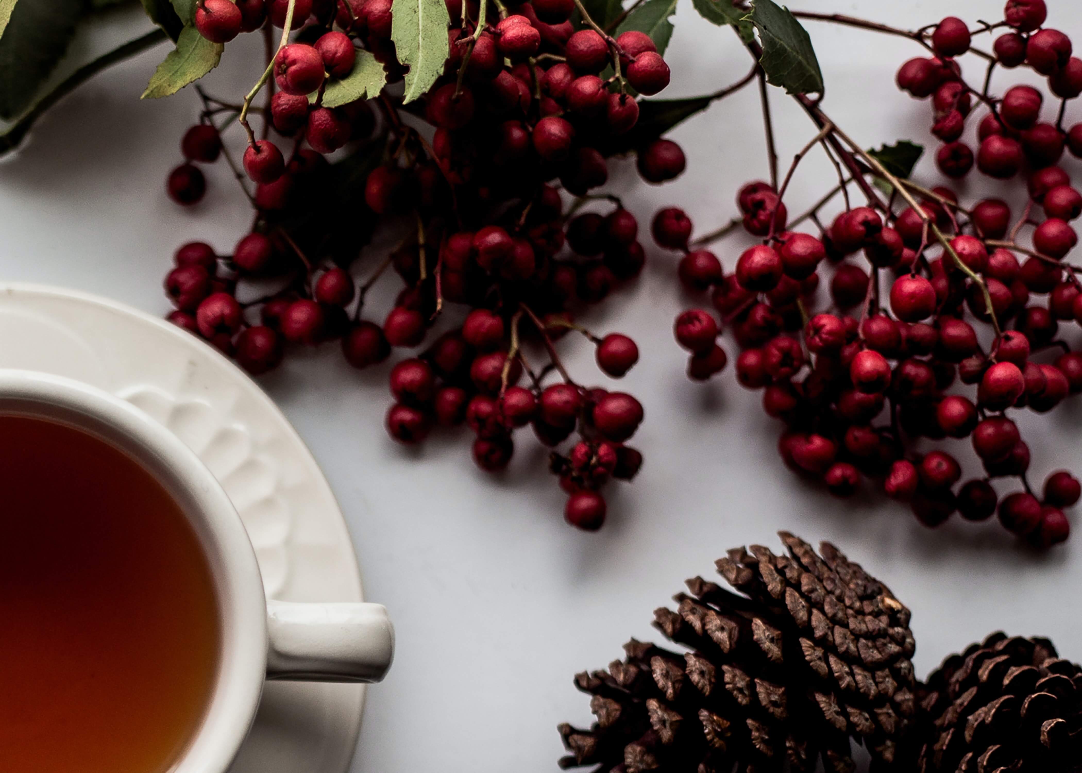 Holiday Gift Guide