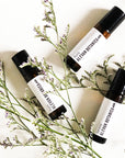 Alevan Botanica Signature Roller Blend Set